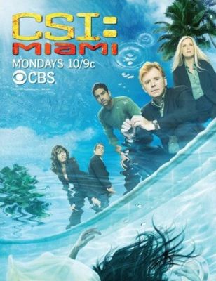 C.S.I.: Майами 2002