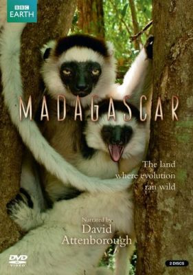 BBC: Мадагаскар 2011