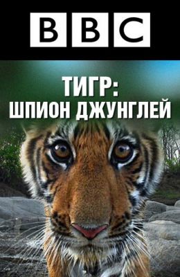 BBC: Тигр - Шпион джунглей 2008