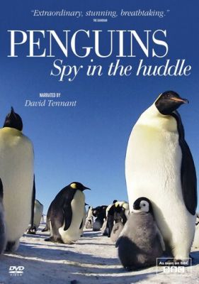 Пингвины: Шпион в толпе 2013